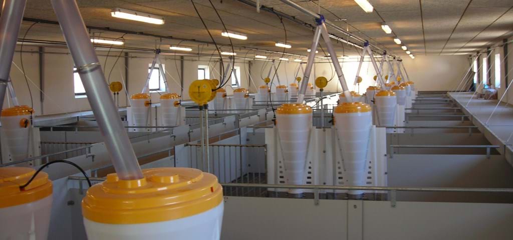 SKIOLD Maximat automatic feeder for weaners and finishers