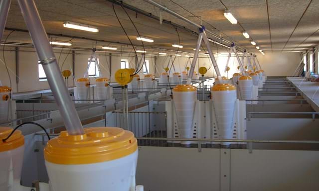 SKIOLD Maximat automatic feeder for weaners and finishers