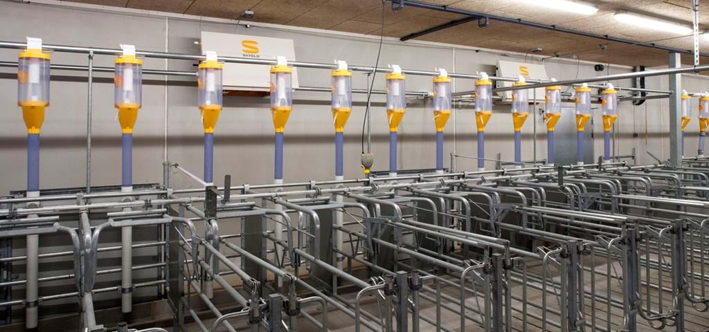 SKIOLD Dry Feeding System TransPork