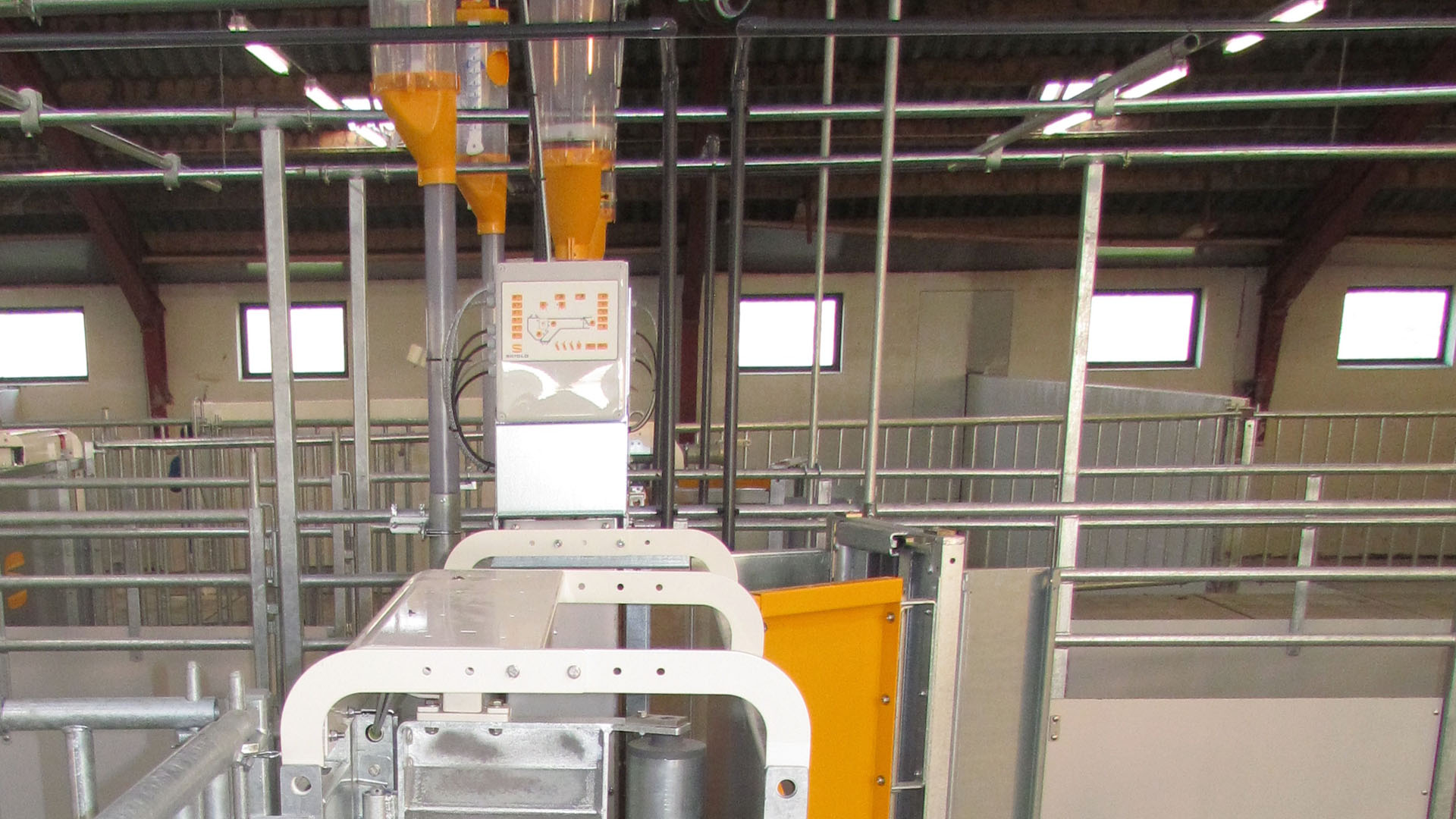 Electronic sow feeding control | SKIOLD