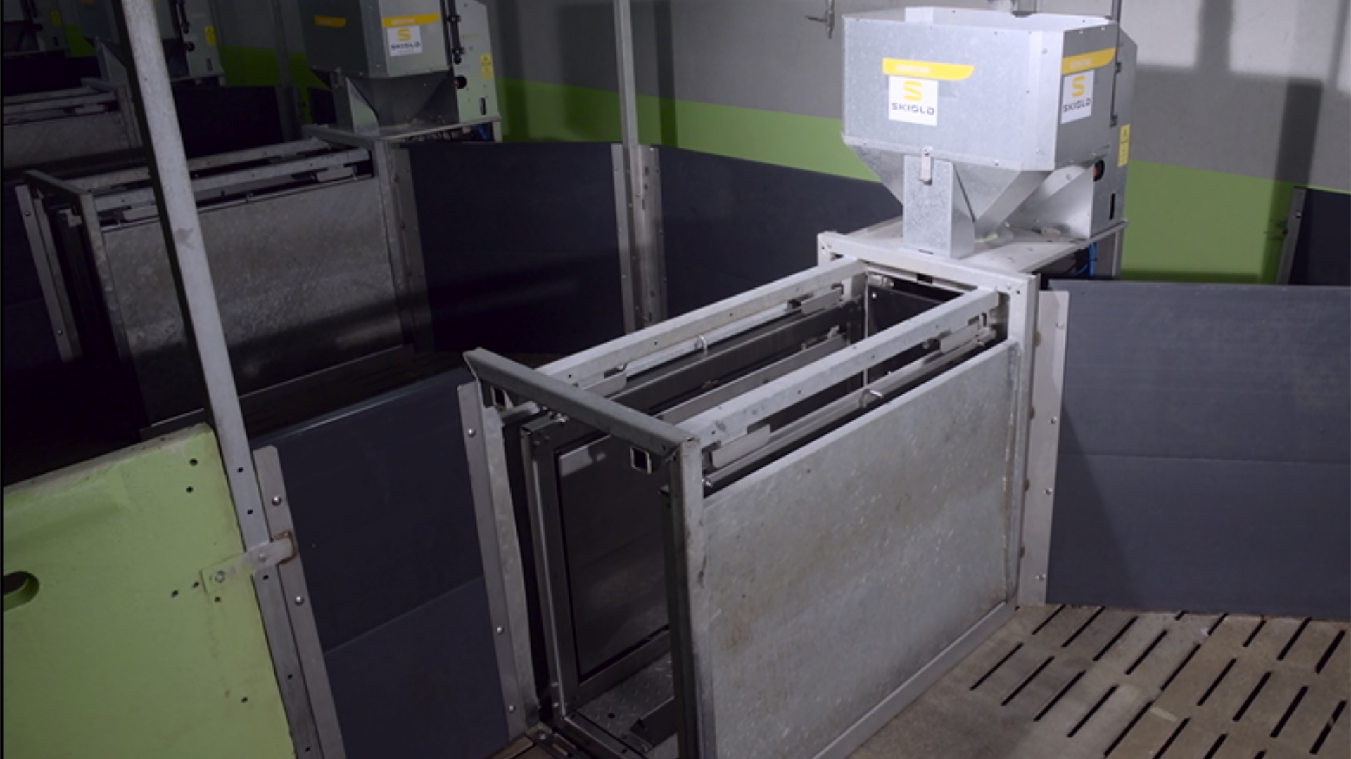  Stalle de testage porcine SKIOLD Genstar