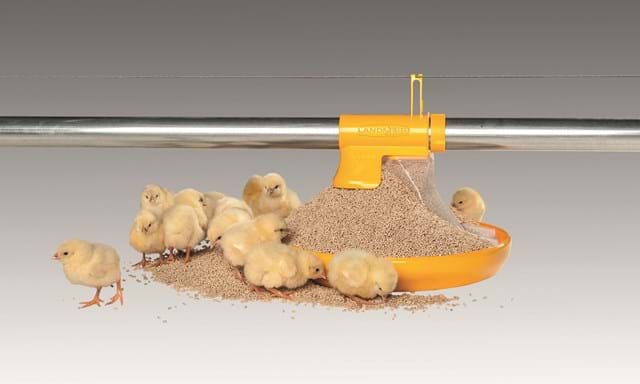 SKIOLD pan feeder for chickens