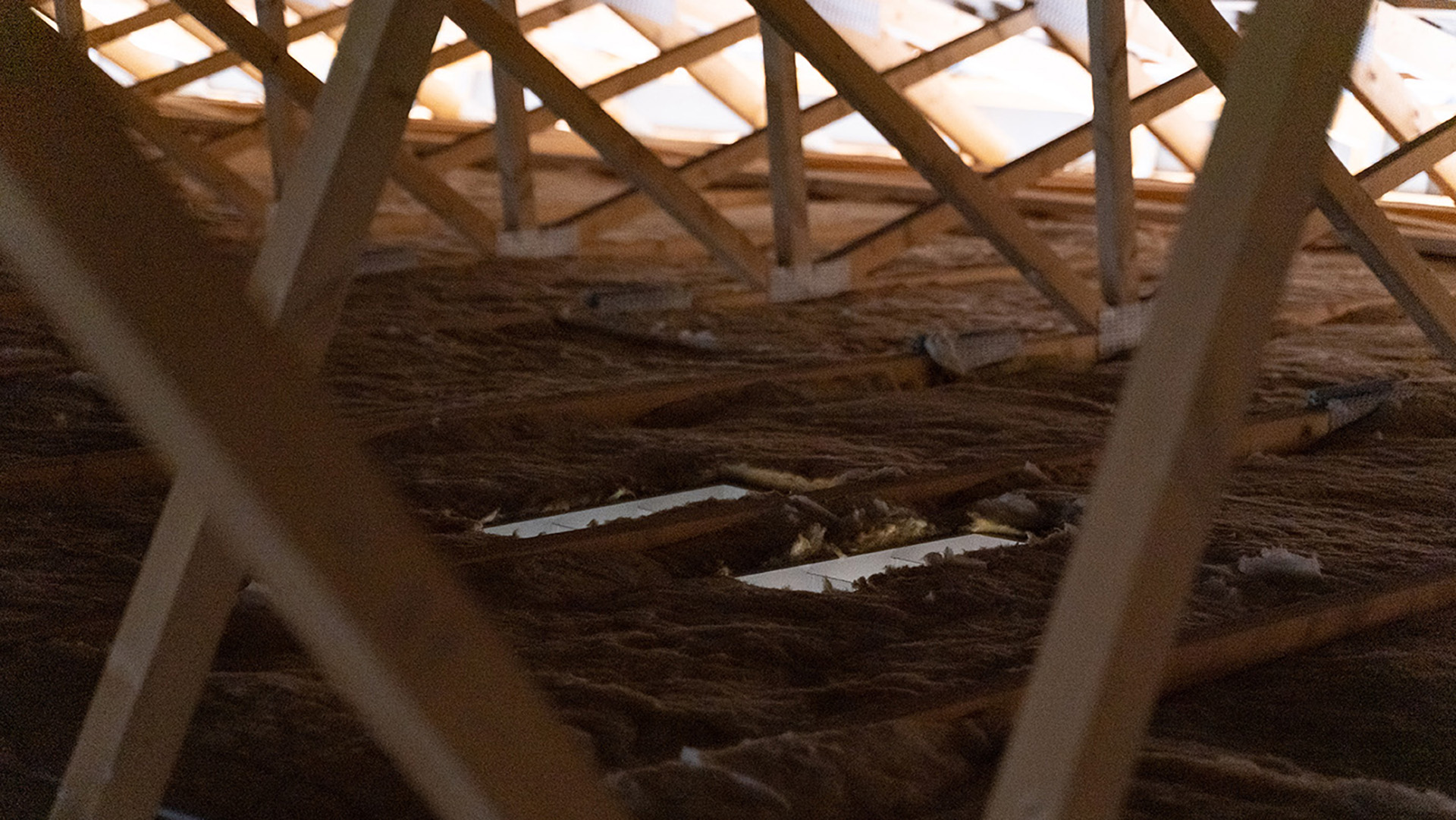 Diffuse air intake | Ventilation in pig farms | SKIOLD 