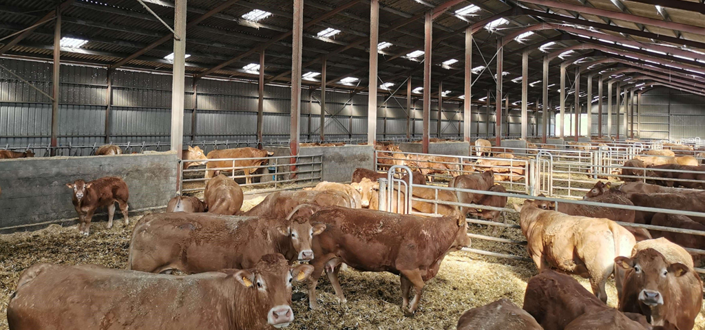 GAEC Lagrafeuil-Puech - Fabrique d'aliments bovin viande - Corrèze